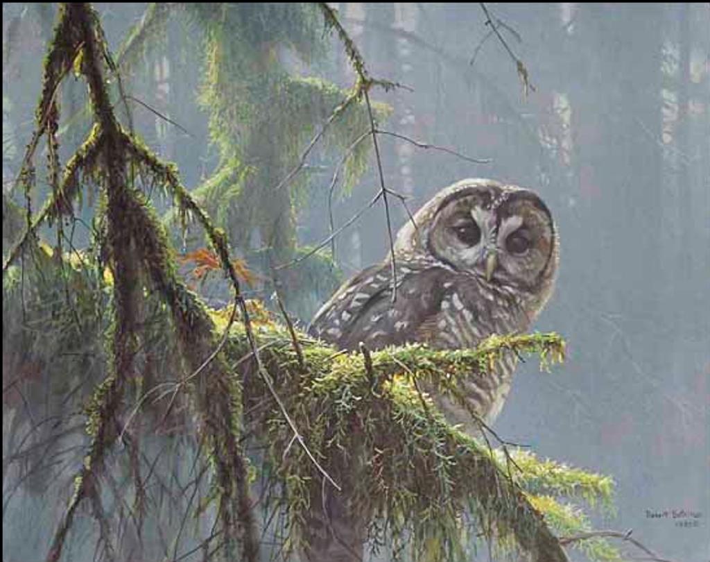 Robert Mclellan Bateman (1930-1922) - Mossy Branches - Spotted Owl (01867/2013-2825)