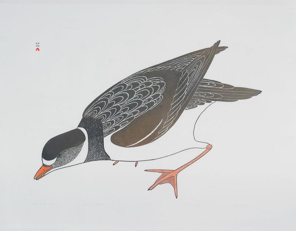 Kananginak Pootoogook (1935-2010) - Bird On The Shore