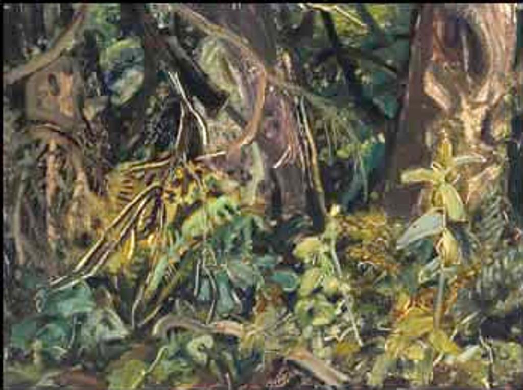 Arthur Lismer (1885-1969) - BC Forest