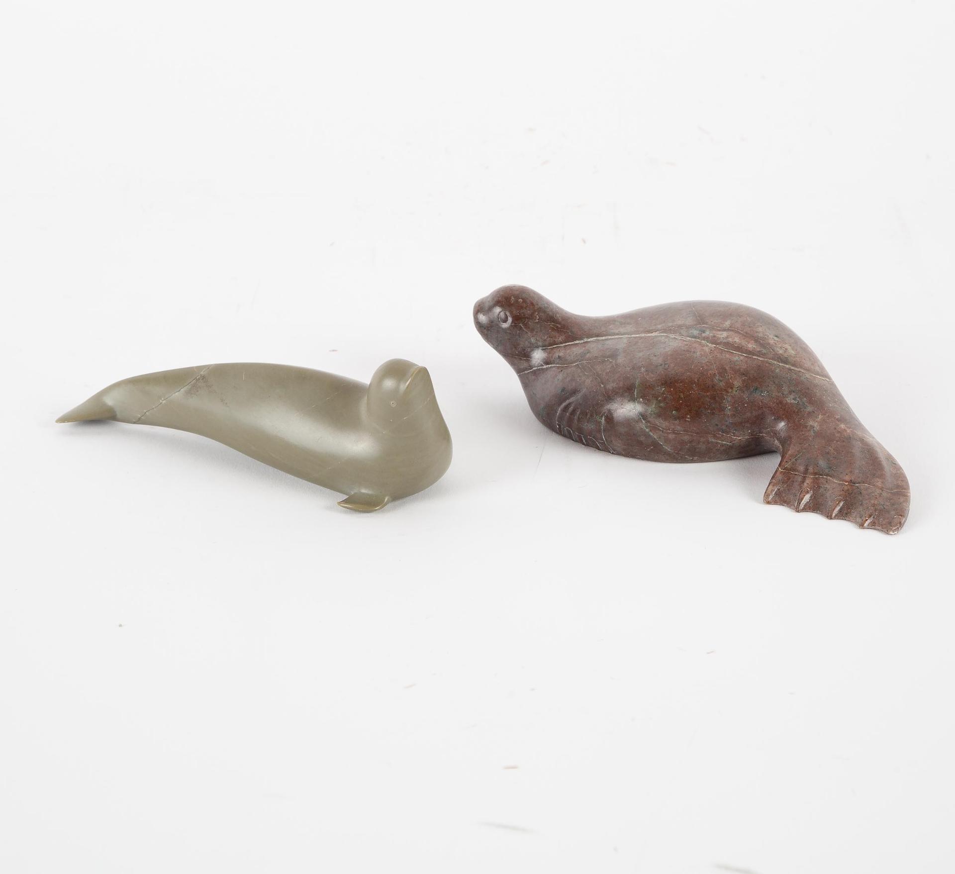 Noah Ohaytook - Seal And Beluga