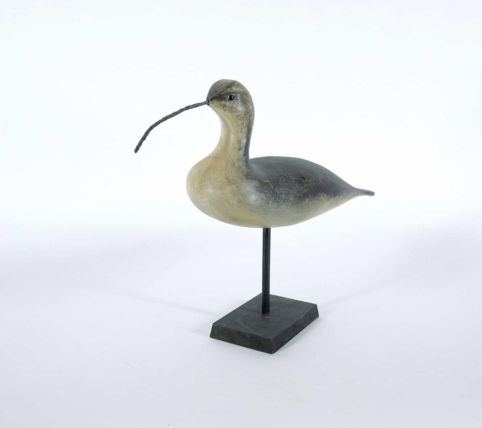 W. Townsend - Long-billed Curlew