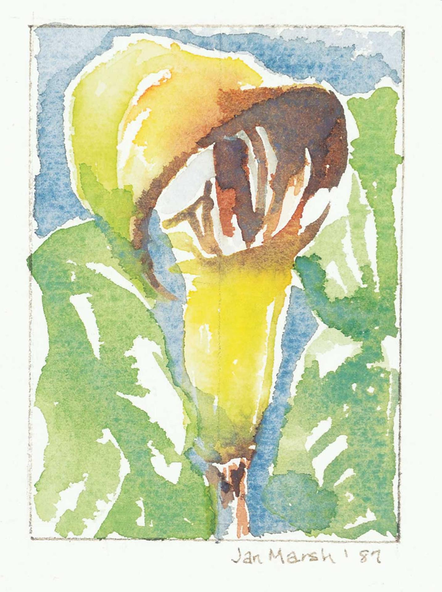 Janet Beatrice Marsh (1935-2011) - Untitled - Yellow Flower