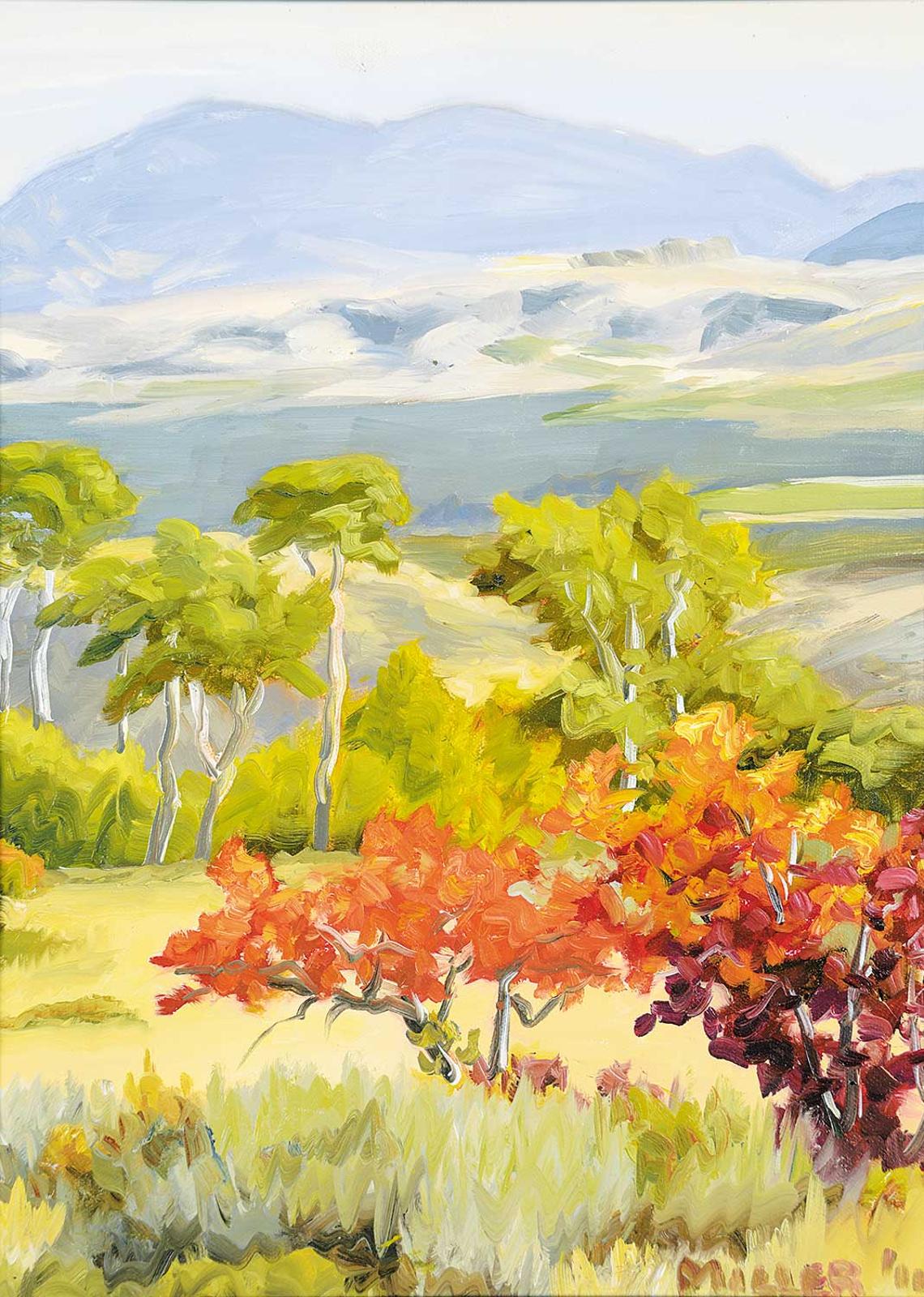 Doug Miller - Untitled - Colour in the Foothills