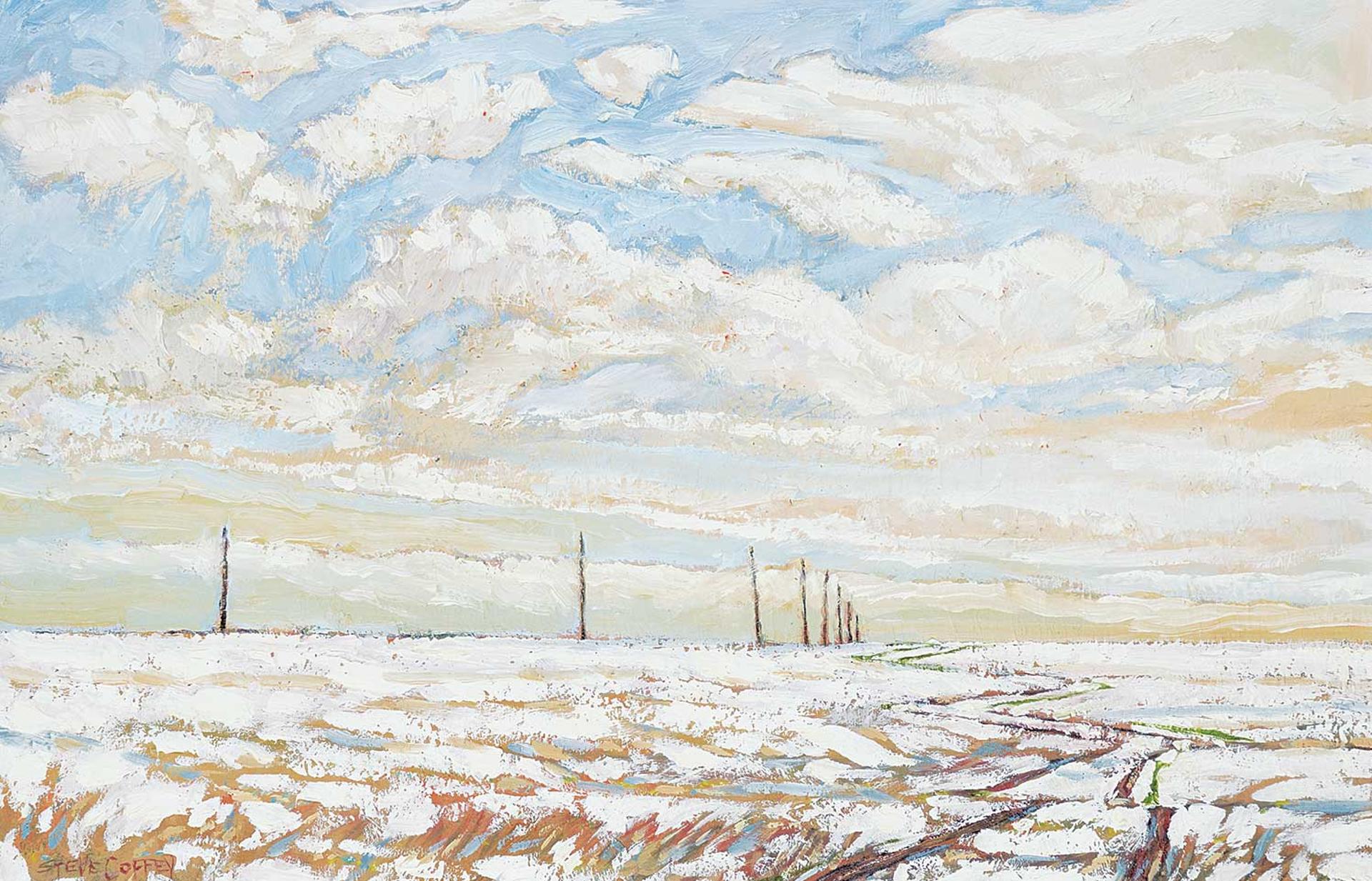 Steve Coffey (1963) - Pole Road and Melting Snow