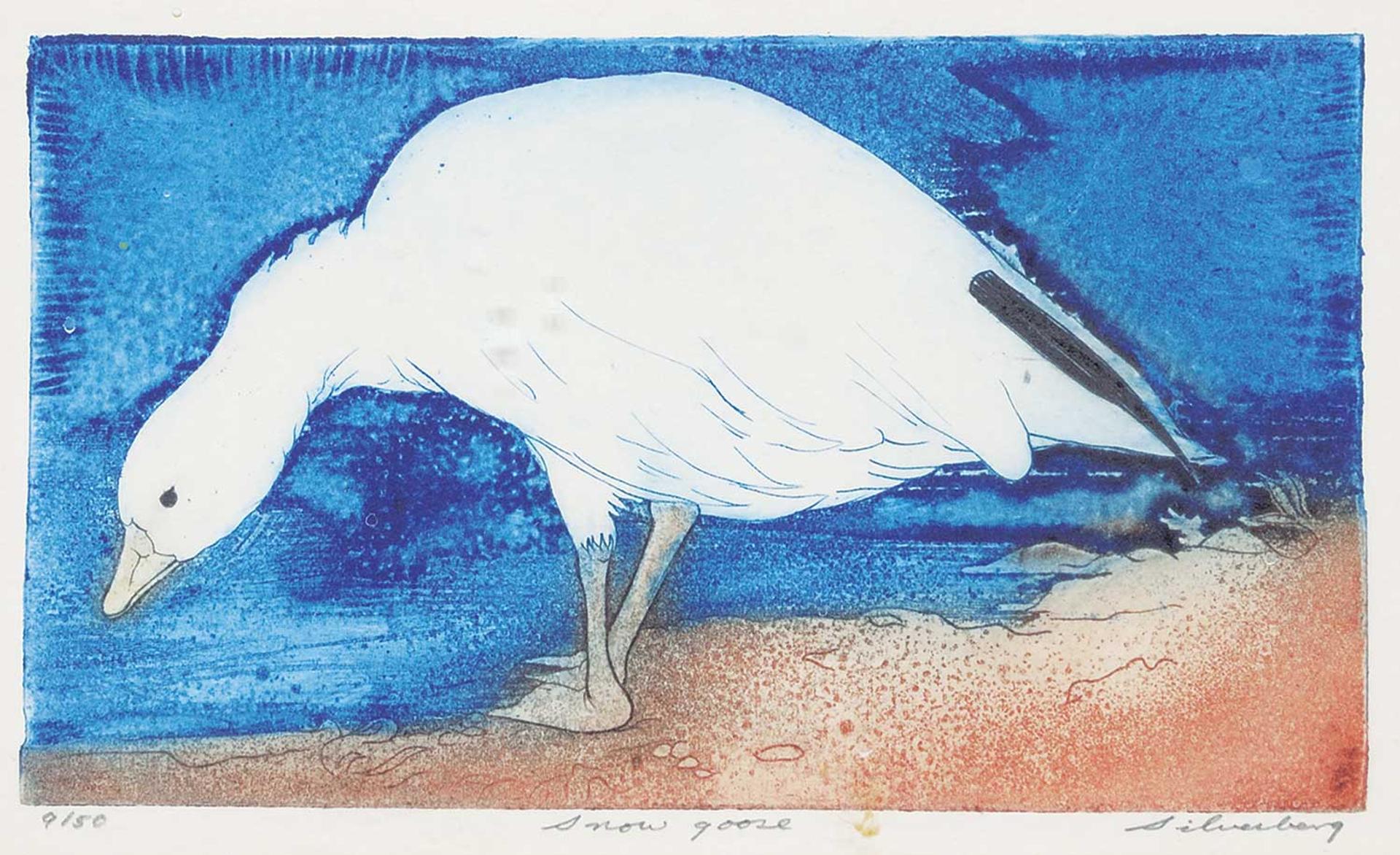 David Silverberg (1936) - Snow Goose  #9/50