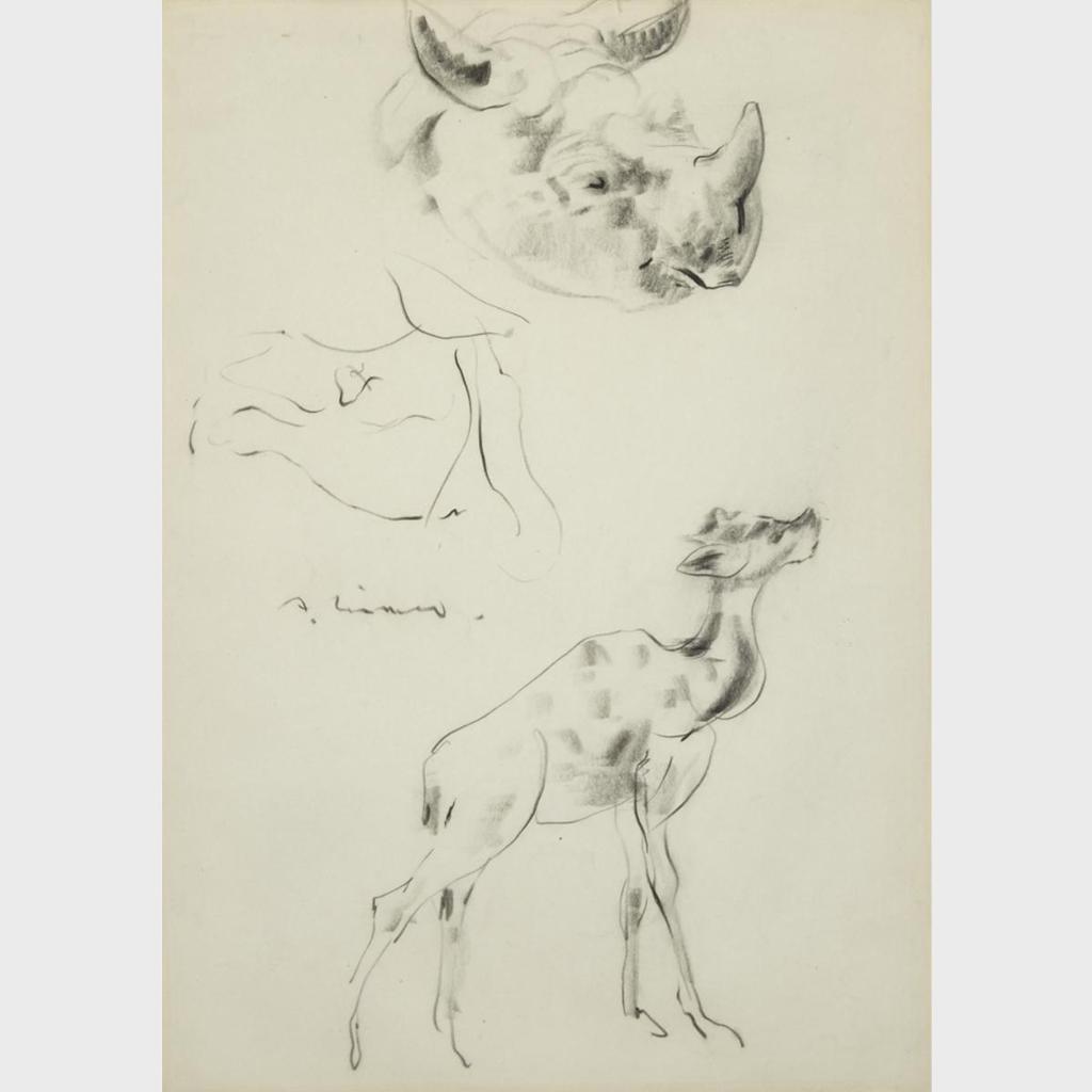 Arthur Lismer (1885-1969) - Study Of  A Rhino And A Giraffe