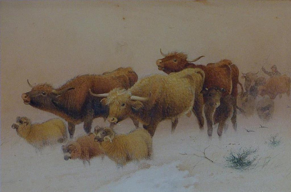 Frederick E. Valter (1850-1930) - HIGHLAND CATTLE IN THE SNOW