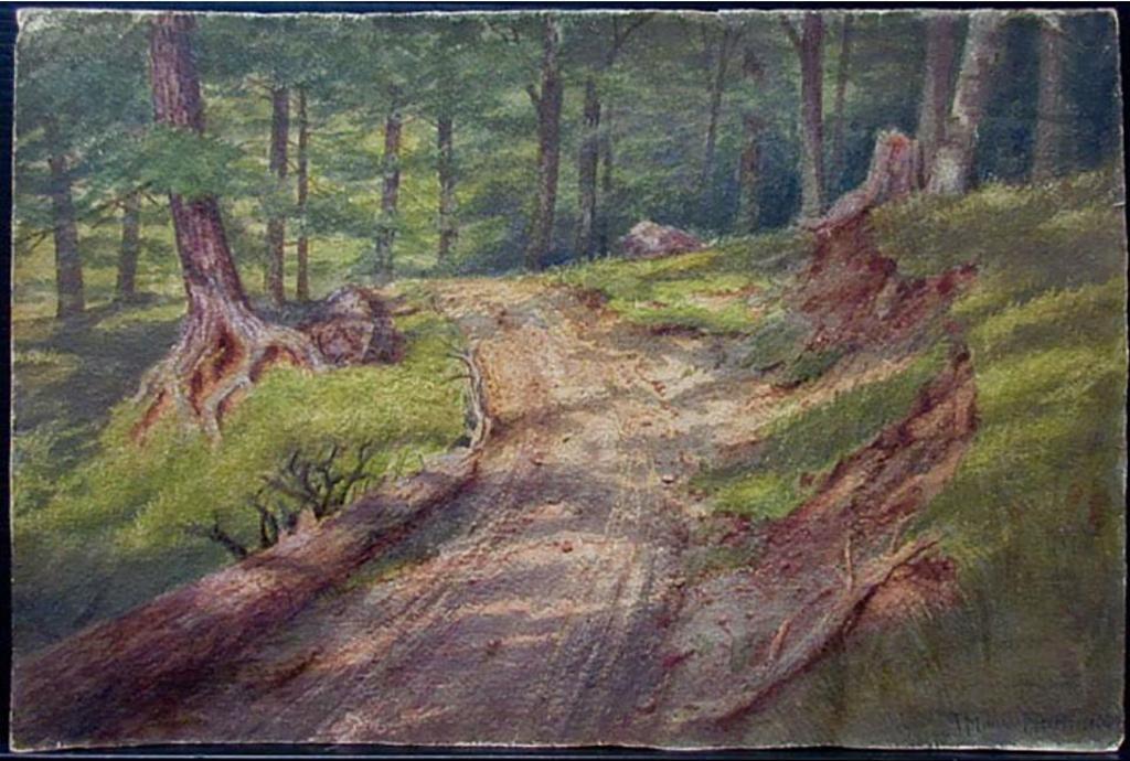 Thomas Mower Martin (1838-1934) - A Road Near Hamilton