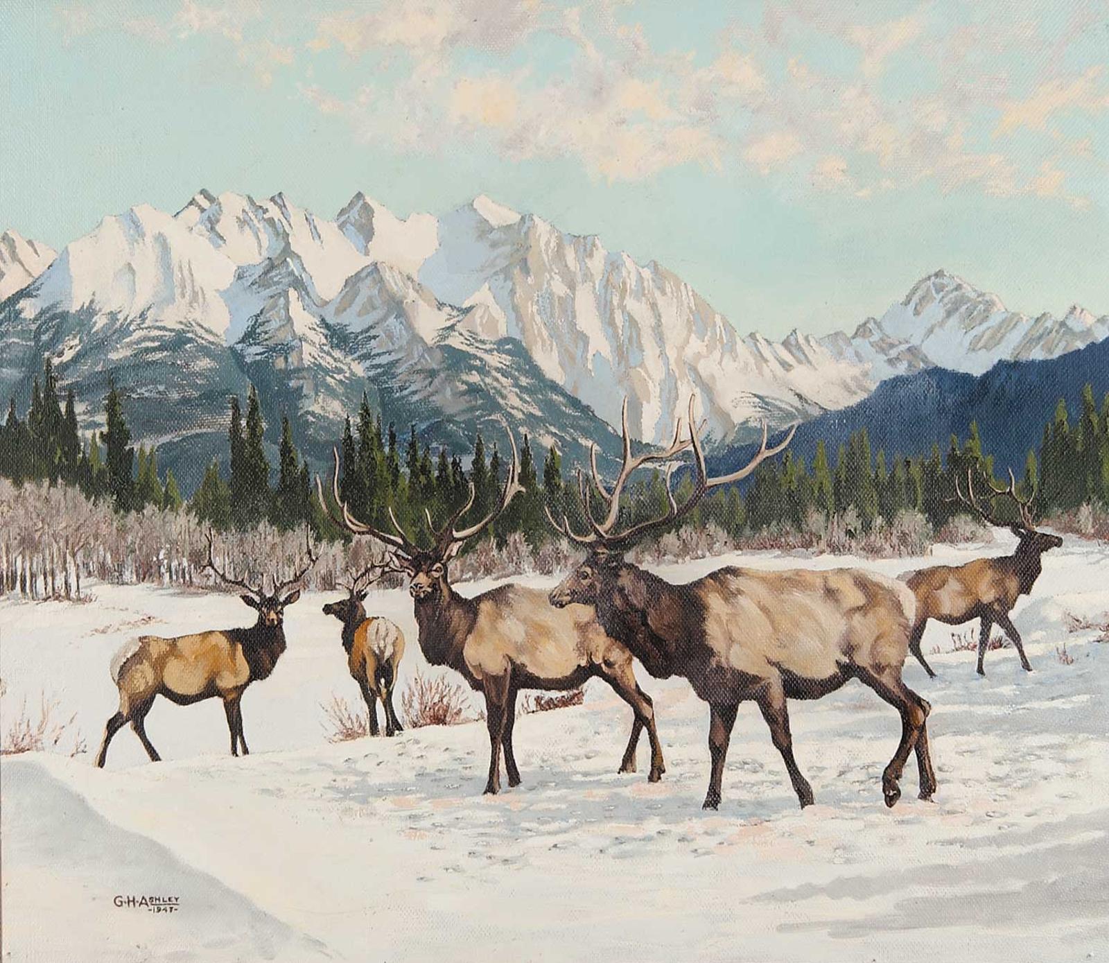 G.H.W. [Herb] Ashley - Untitled - Elk in the Mountains