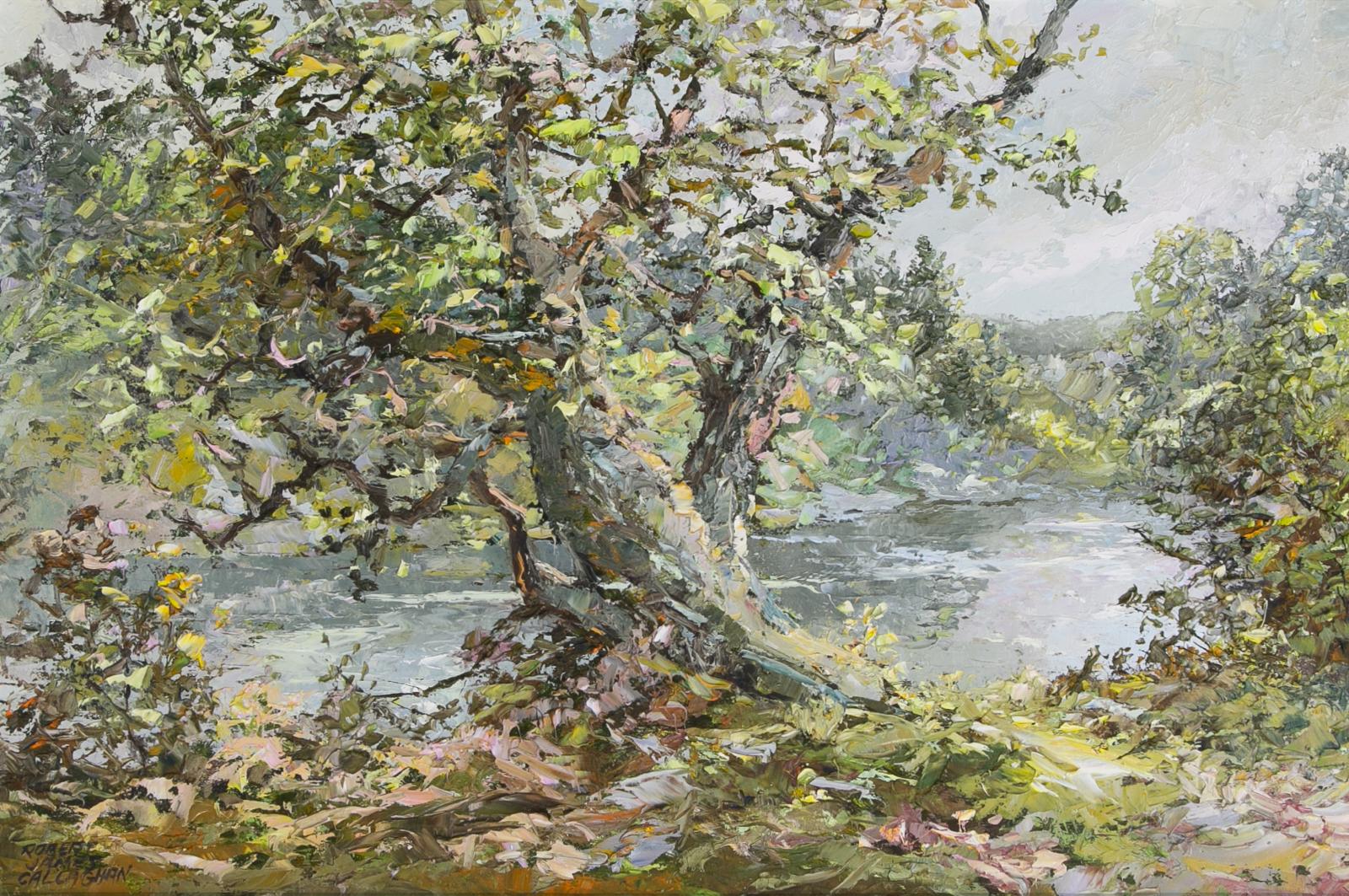 Robert James Callaghan - Early Summer Lake Country