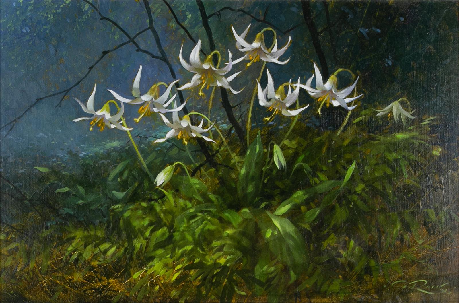 Geoffrey Allan Rock (1923-2000) - Fawn Lillies