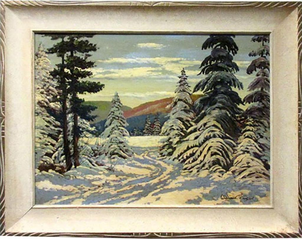 William C. Carson - Untitled (Snow Laden Pines)