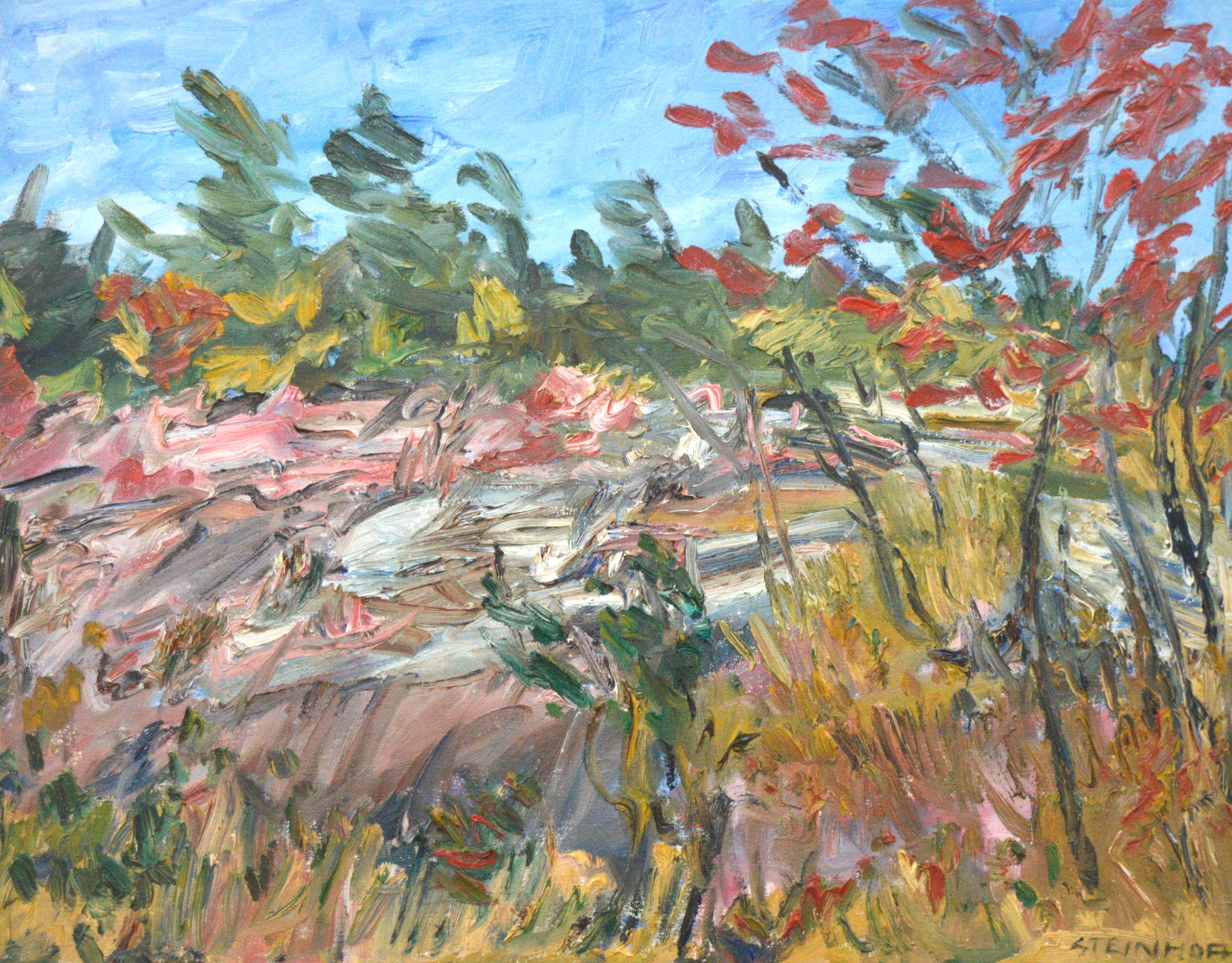 Bruce Steinhoff (1959) - 