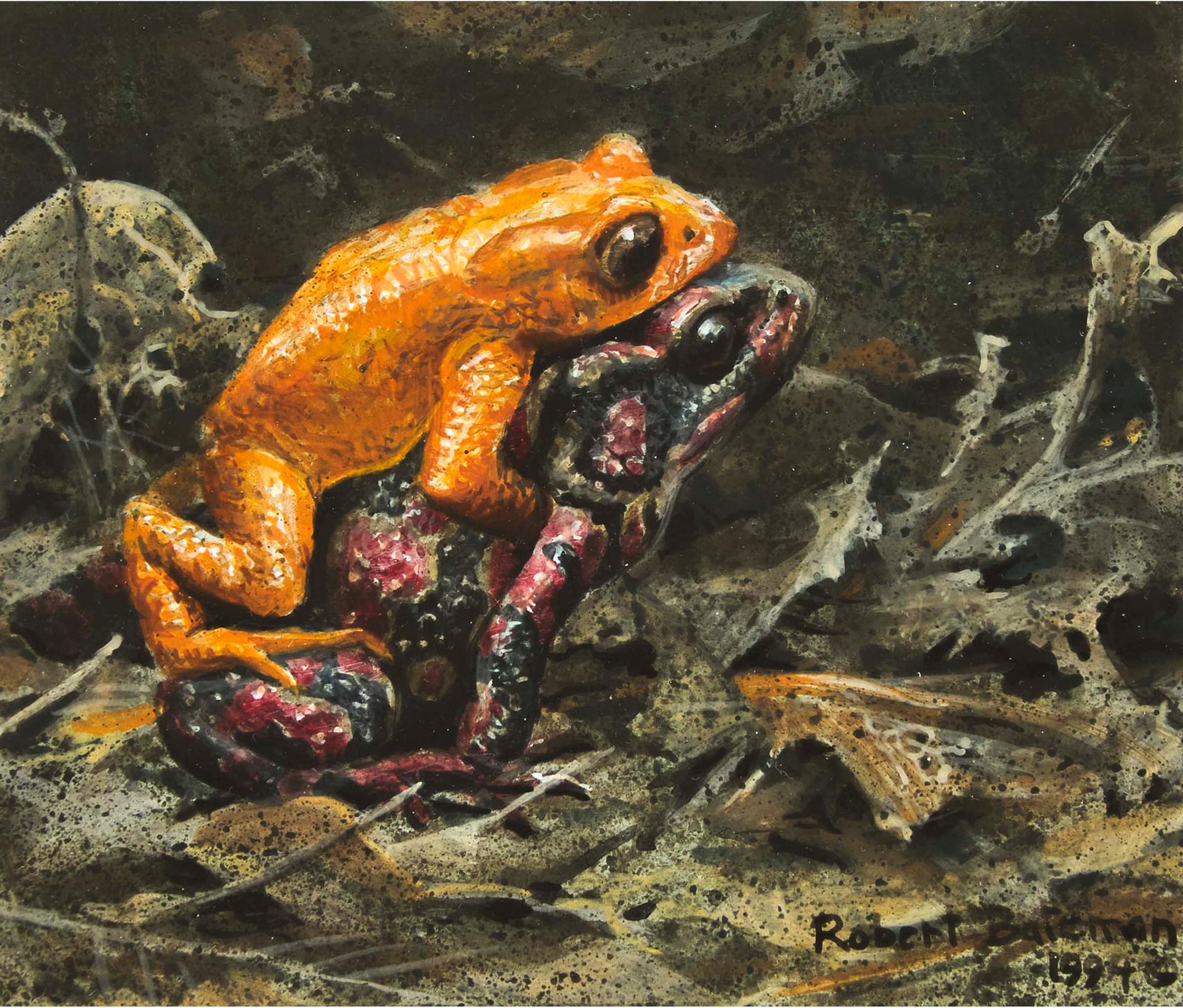 Robert Mclellan Bateman (1930-1922) - Untitled (Two Frogs), 1994