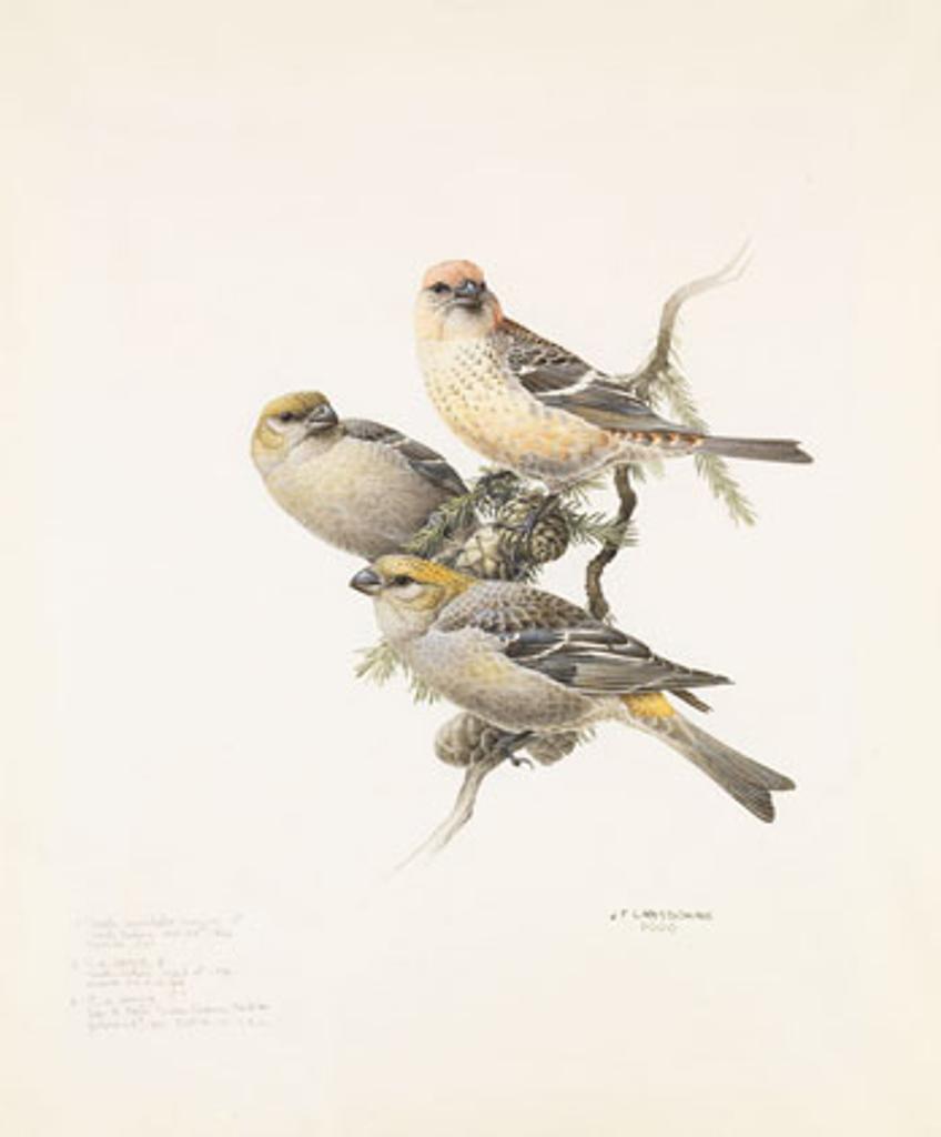 James Fenwick Lansdowne (1937-2008) - Pine Grosbeak