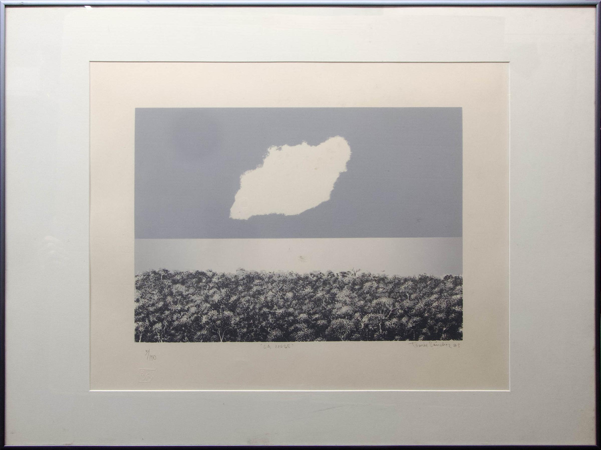 Tomás Sánchez - La Nube