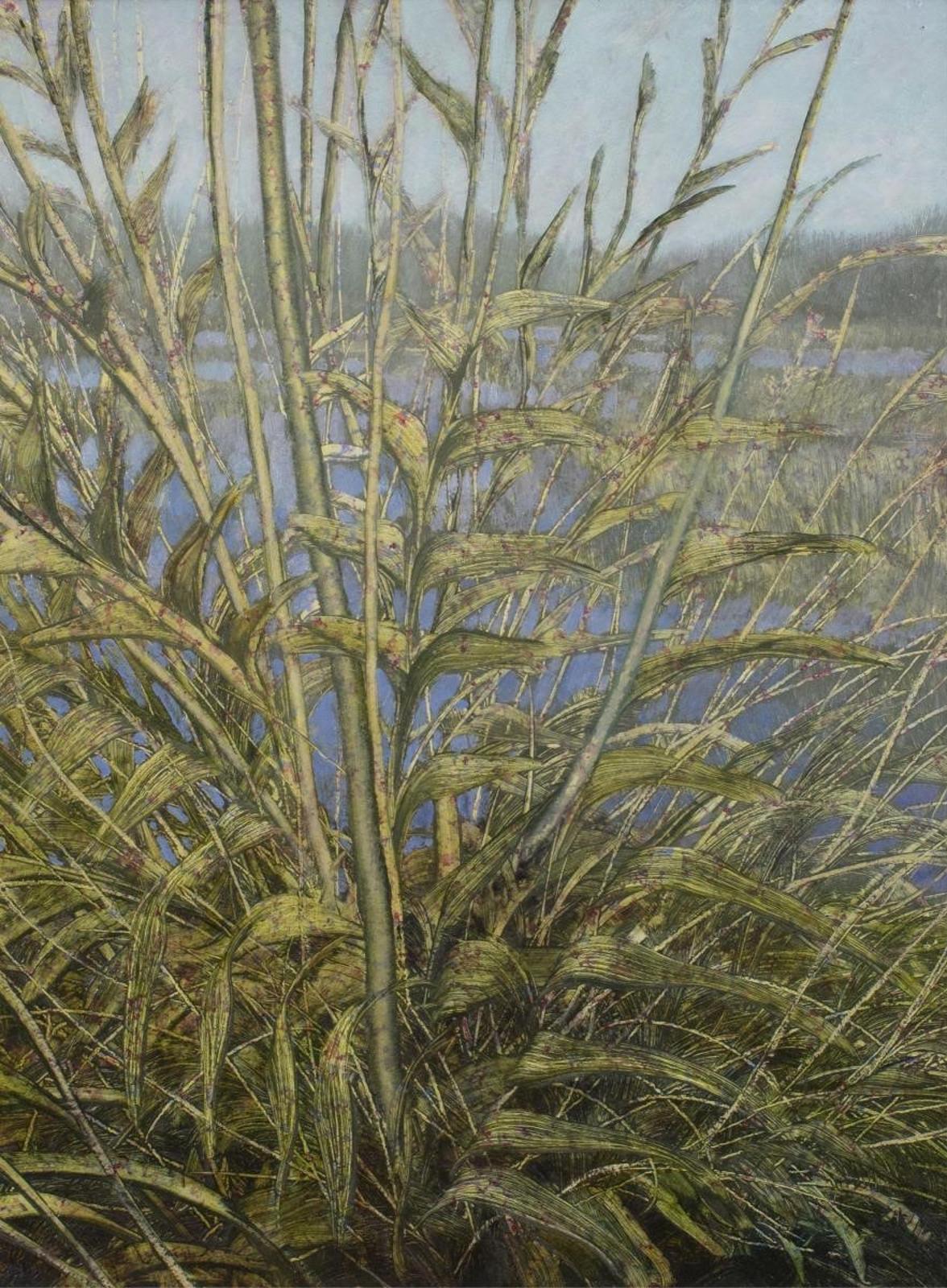 Ken Vincent (1949) - Wetlands