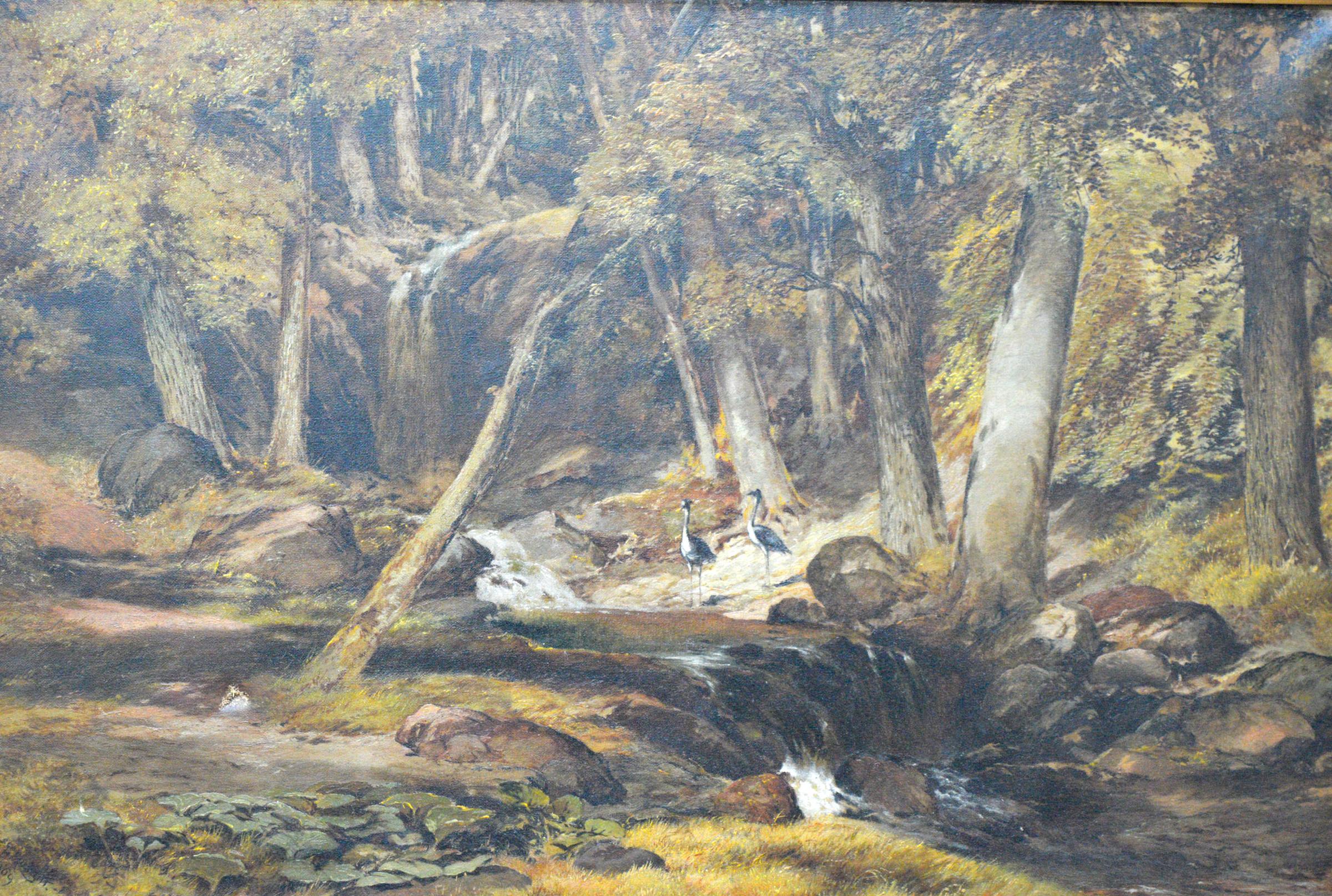 George Fotherly Hargitt (1838-1928) - 