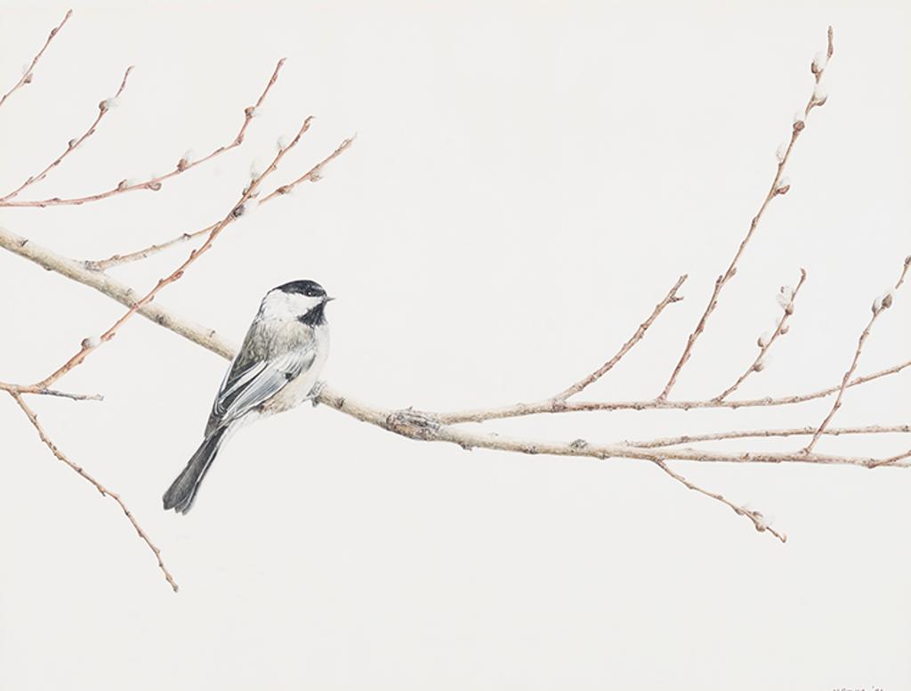 Melinda Brewer - Black-capped Chickadee