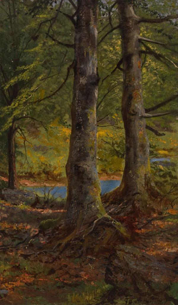 Thomas Mower Martin (1838-1934) - Forest