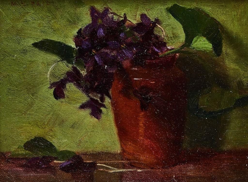 Mary Augusta Hiester Reid (1854-1921) - African Violets