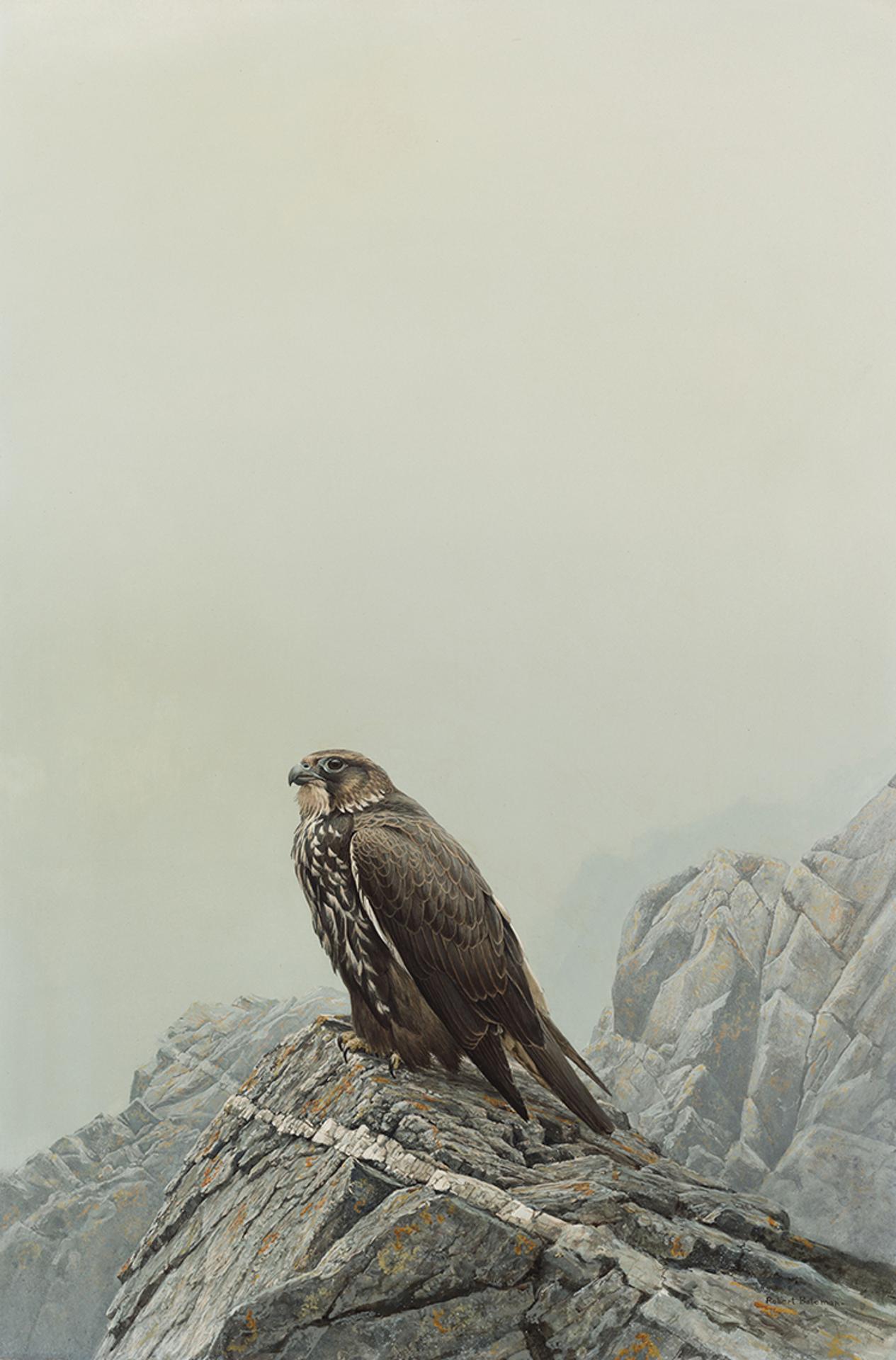 Robert Mclellan Bateman (1930-1922) - Gyrfalcon - Dark Phase