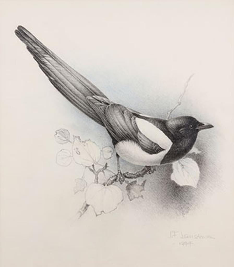 James Fenwick Lansdowne (1937-2008) - Magpie