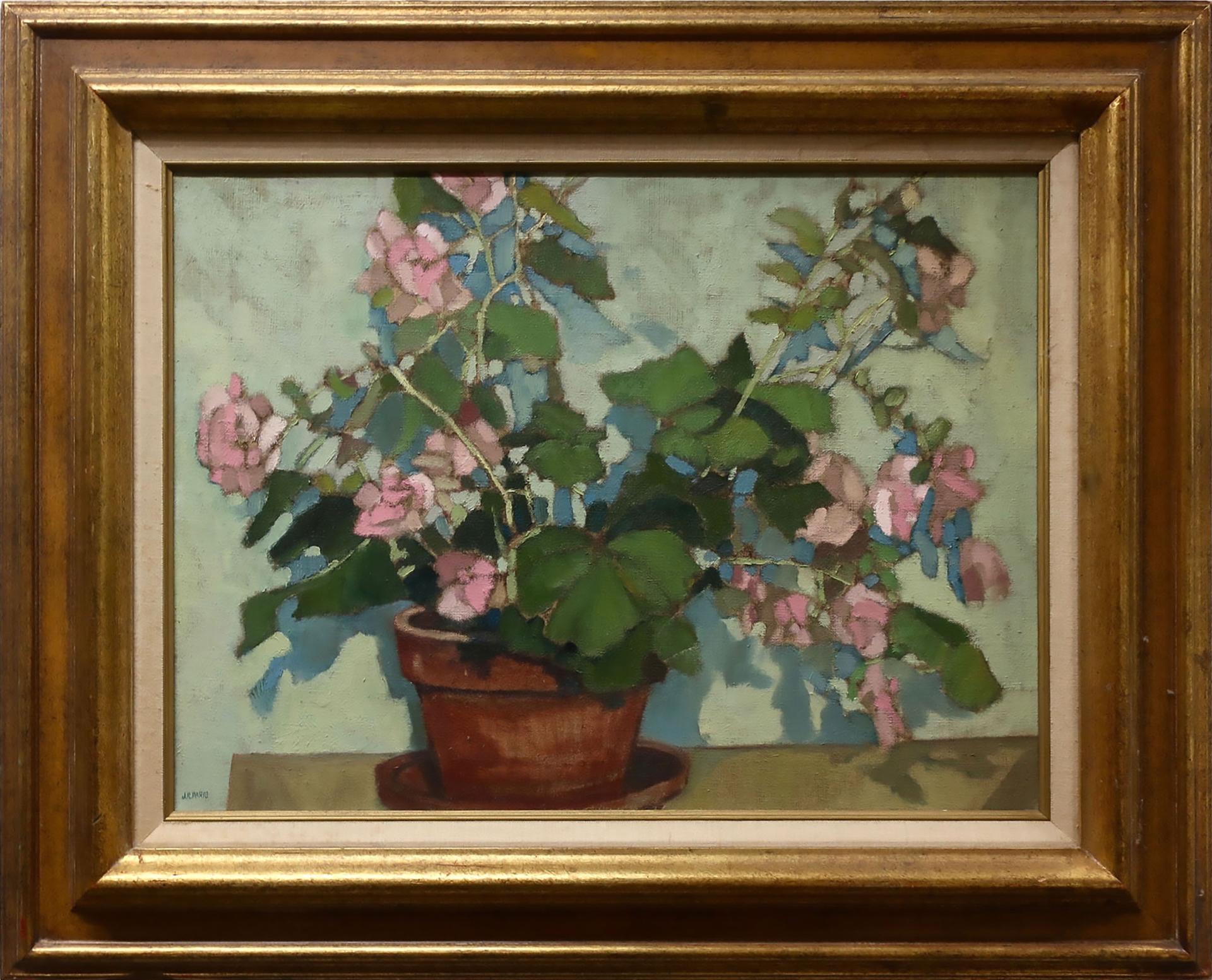 J.R. Paris - Potted Pink Flowers