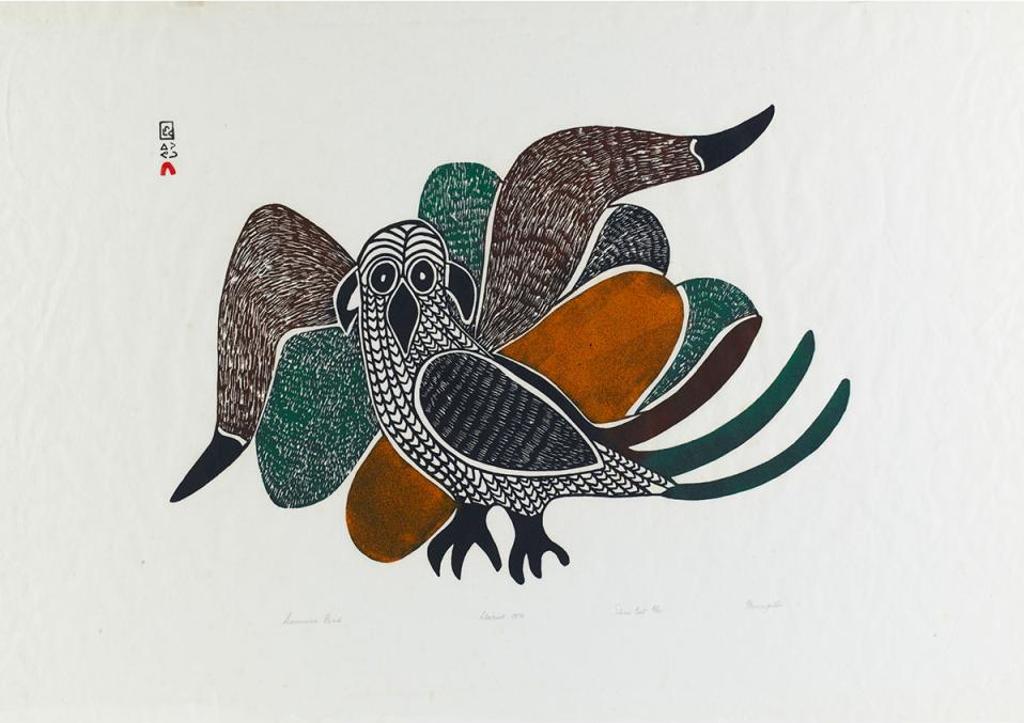 Kellypalik Mangitak (1940) - Summer Bird