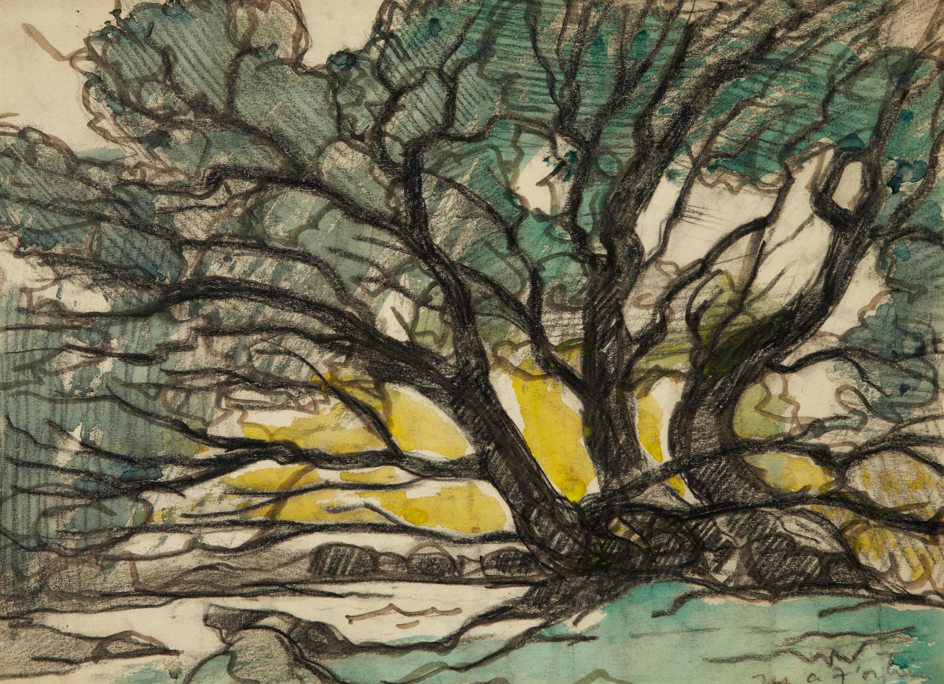 Marc-Aurèle Fortin (1888-1970) - Etude d'arbre