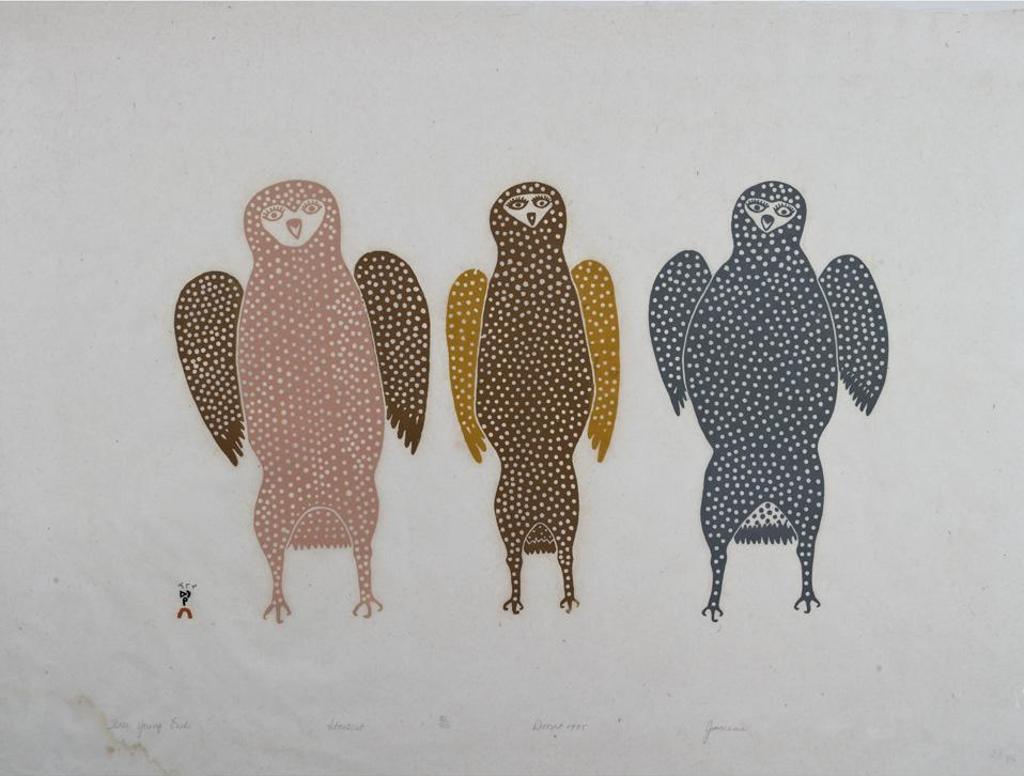 Jamasie Teevee (1910-1985) - Three Young Owls