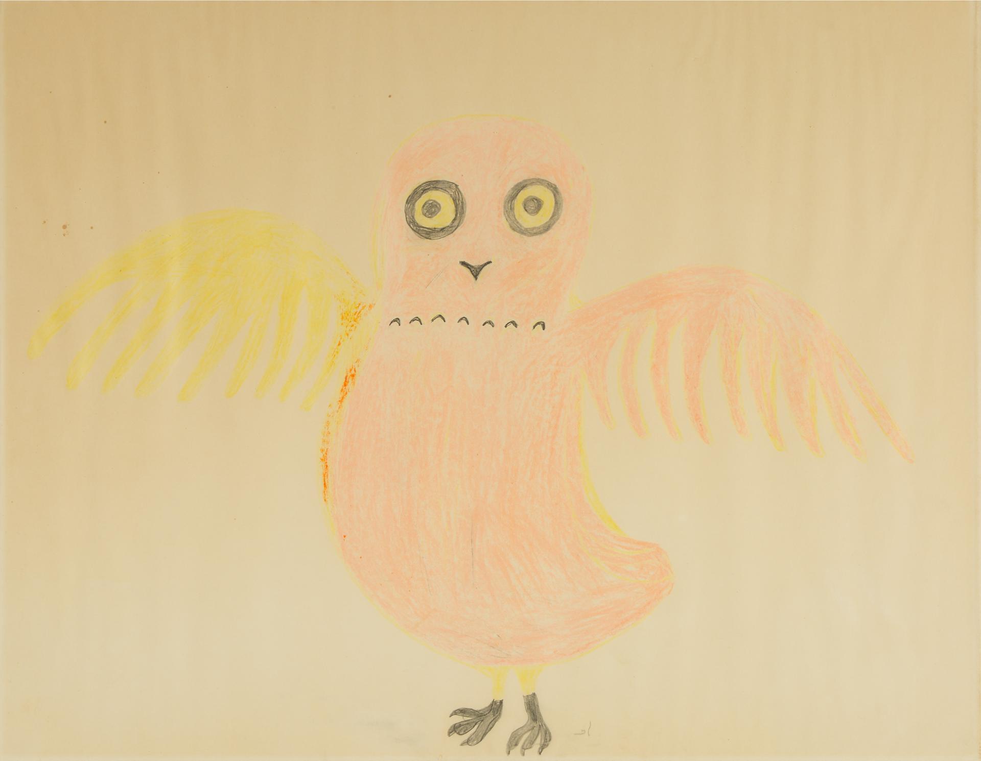 Lucy Qinnuayuak (1915-1982) - Startled Owl