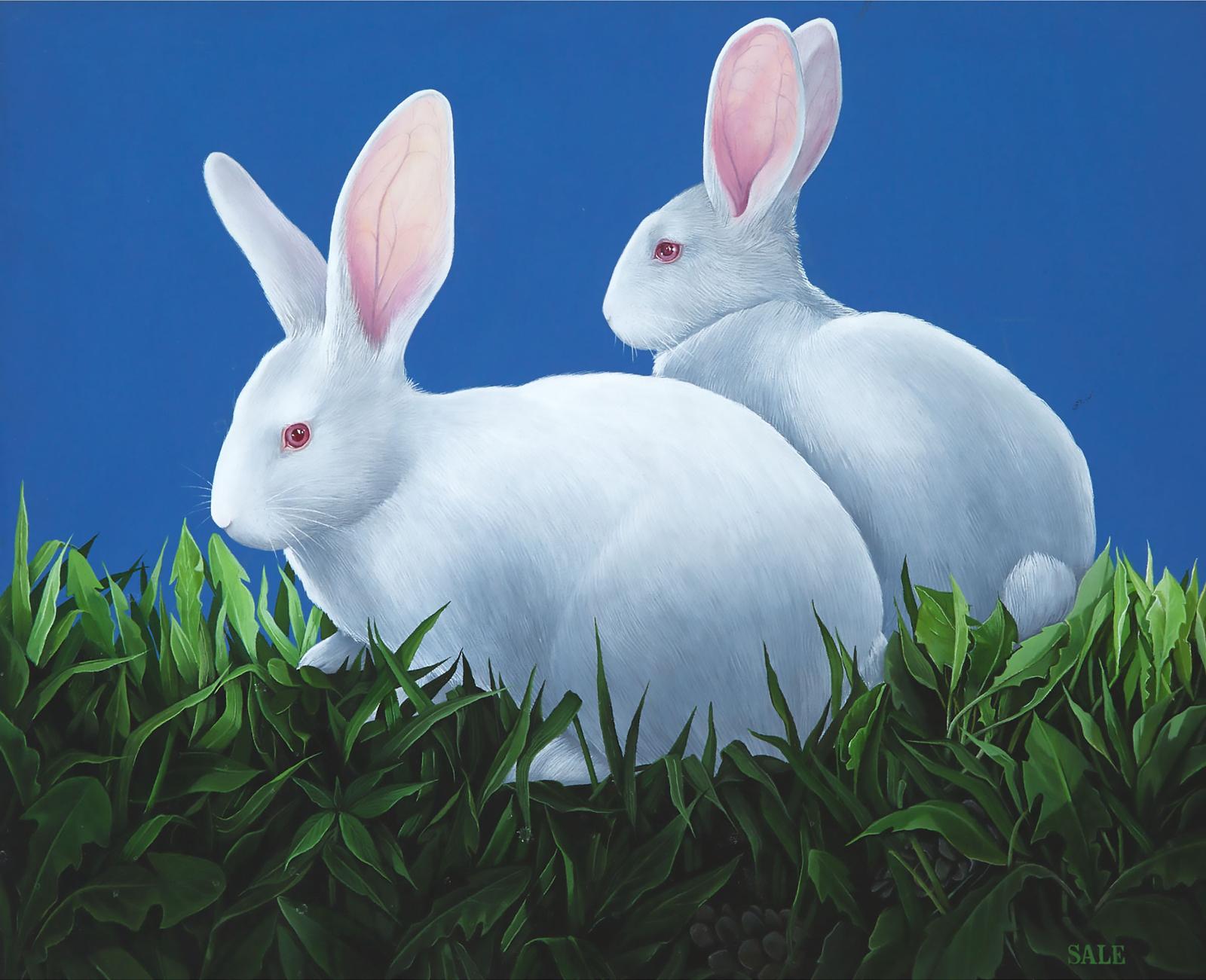 Stephanie Sale (1946) - Rabbits