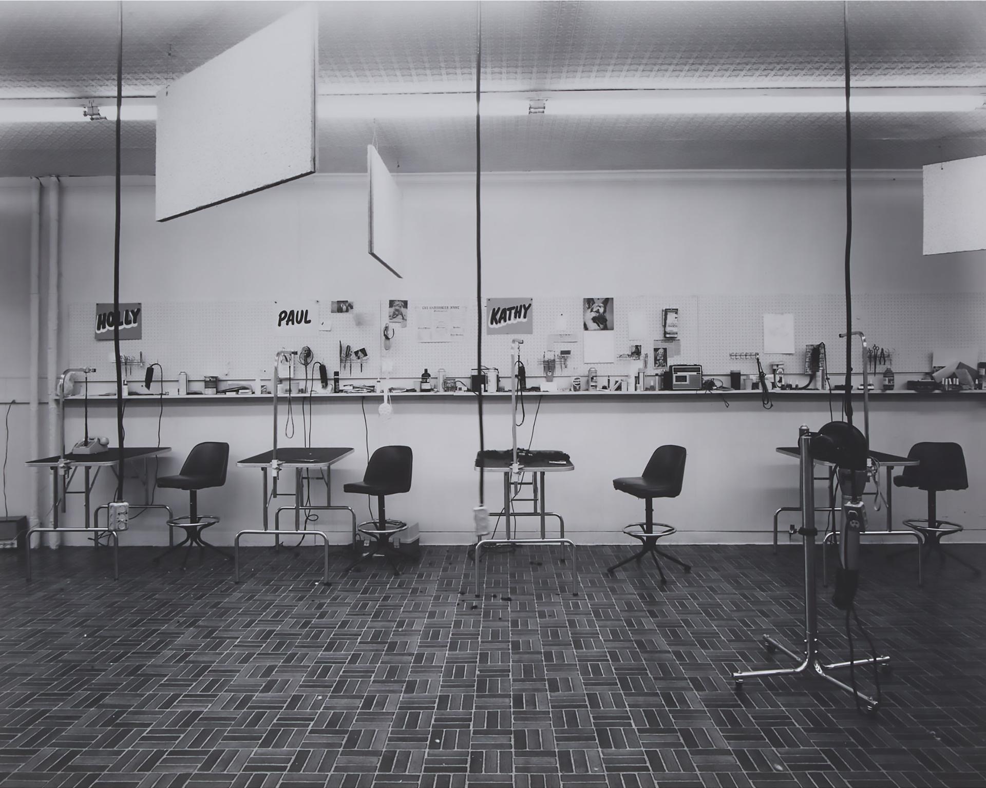 Lynne Cohen (1944-2014) - Classroom In A Dog Grooming School, Minneapolis