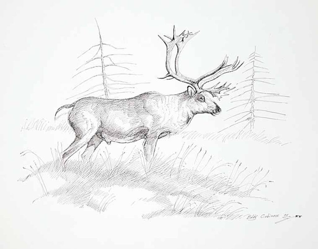 Edward [Eddy] Cobiness (1933-1996) - Caribou Bull