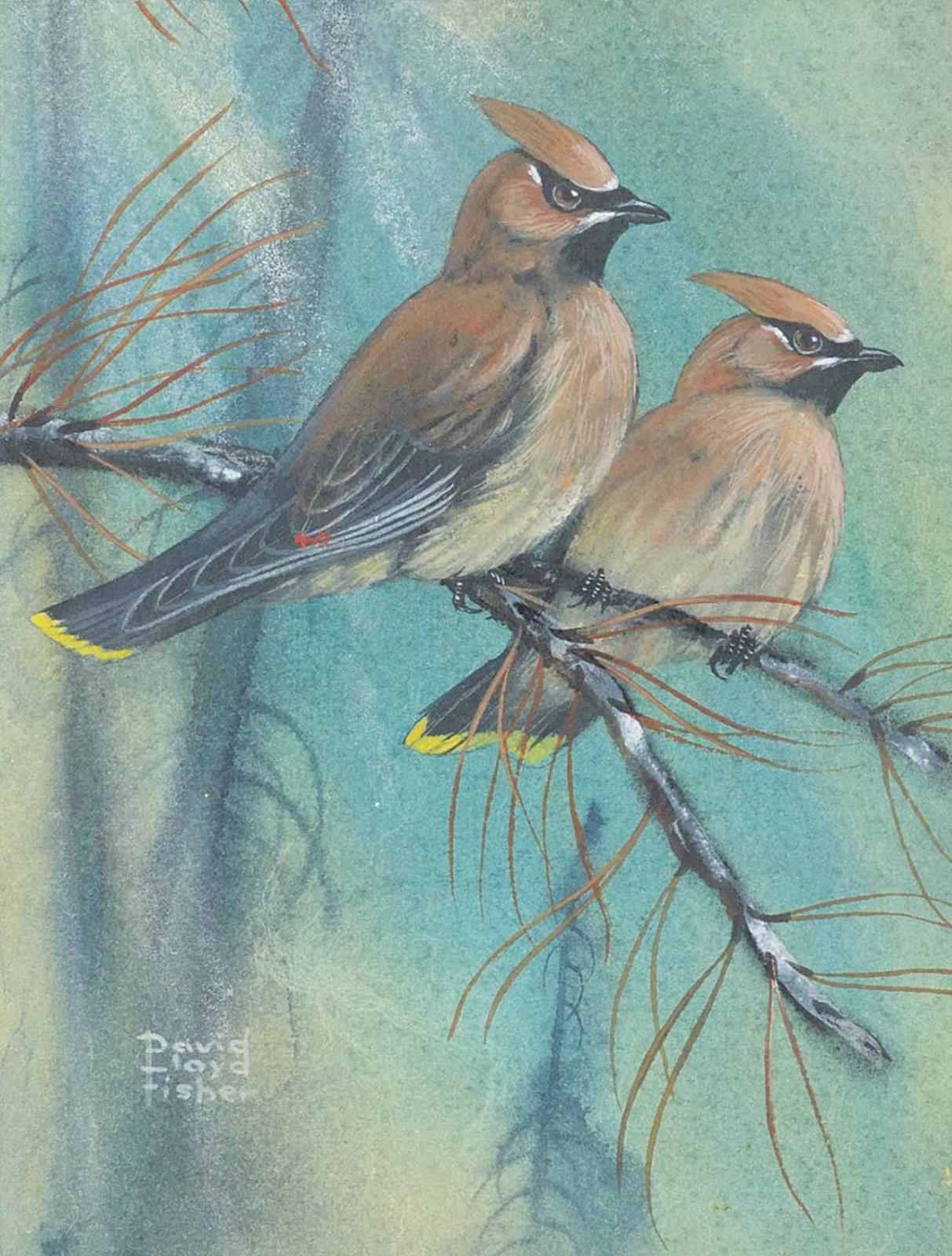 David Lloyd Fisher (1935-2015) - Cedar Waxwings