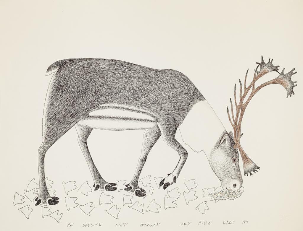 Kananginak Pootoogook (1935-2010) - Grazing Bull Caribou 1999