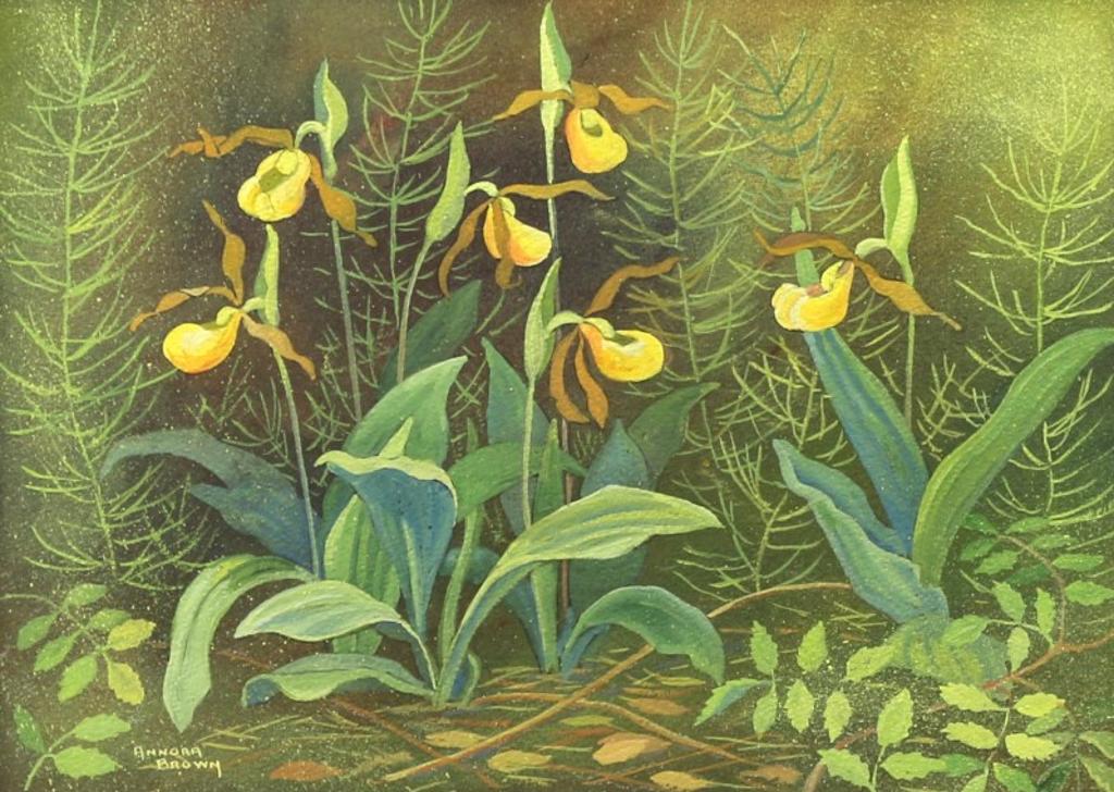Annora Brown (1899-1987) - Yellow Ladys Slipper