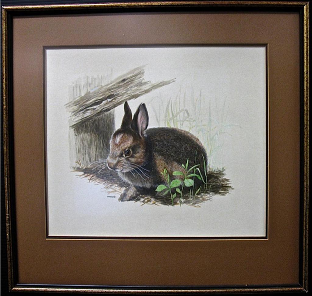 James Richard Lumbers (1929) - Bunny Rabbit