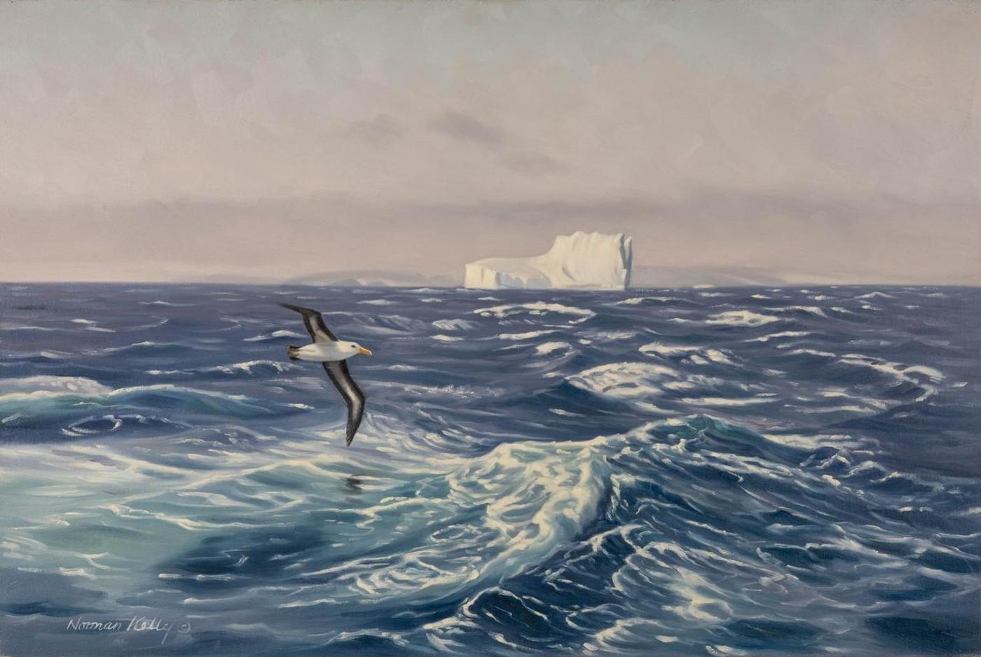 Norman Kelly (1939) - Albatross - Southern Ocean