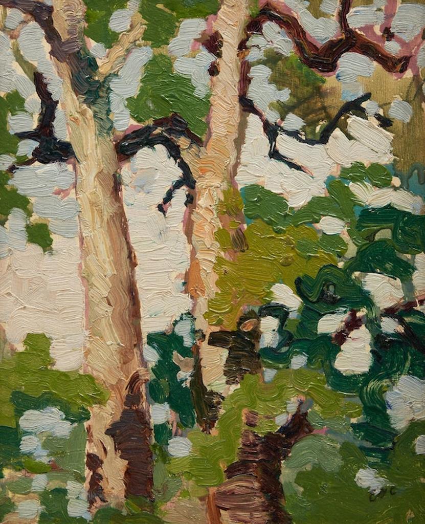 Edith Grace (Lawson) Coombs (1890-1986) - Tree Study