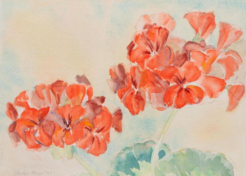 Darlene Hay (1945) - Untitled - Geraniums