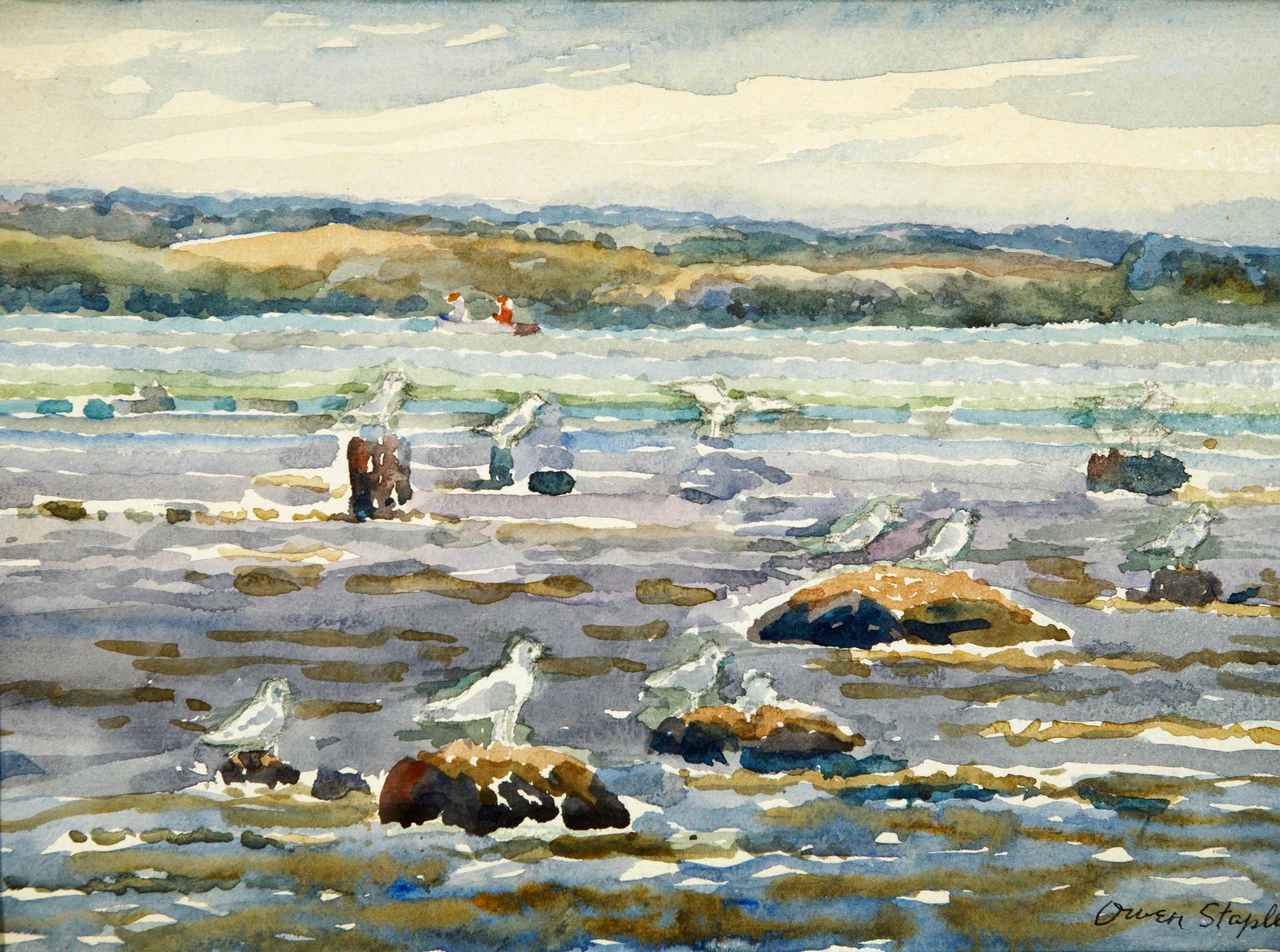 Owen B. Staples (1866-1949) - A view of seagulls from the shoreline