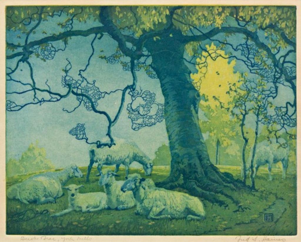 Frederick Stanley Haines (1879-1960) - Beech Tree, York Mills
