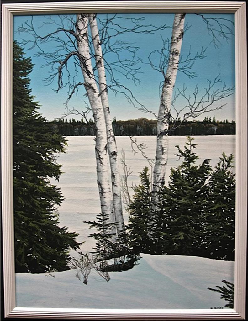 E. Robert Ross (1950) - Birches At Cypress Lake