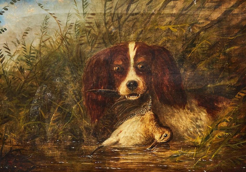 Edward Scrope Shrapnel (1847-1920) - Dog