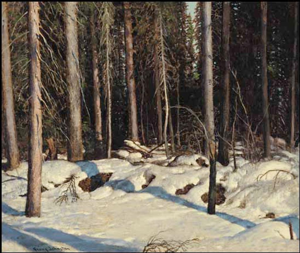 Frank (Franz) Hans Johnston (1888-1949) - The North Woods