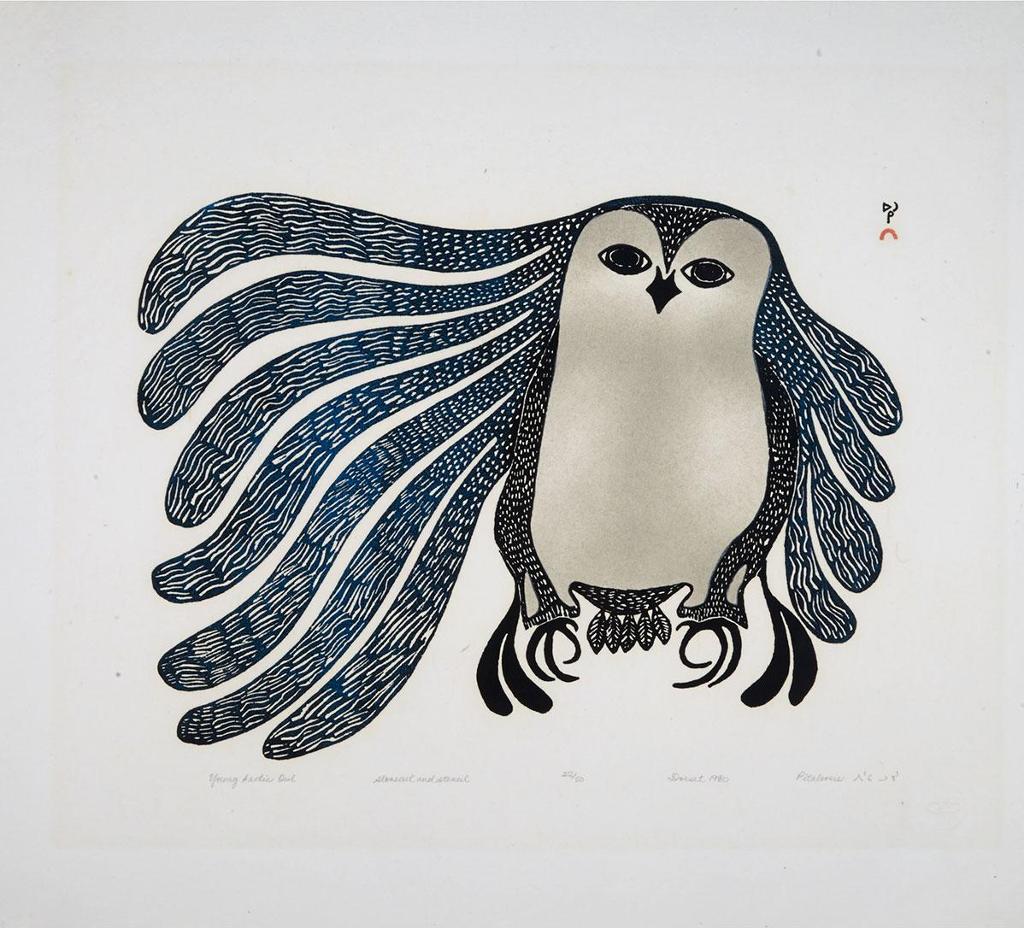 Pitaloosie Saila (1942-2021) - Young Arctic Owl