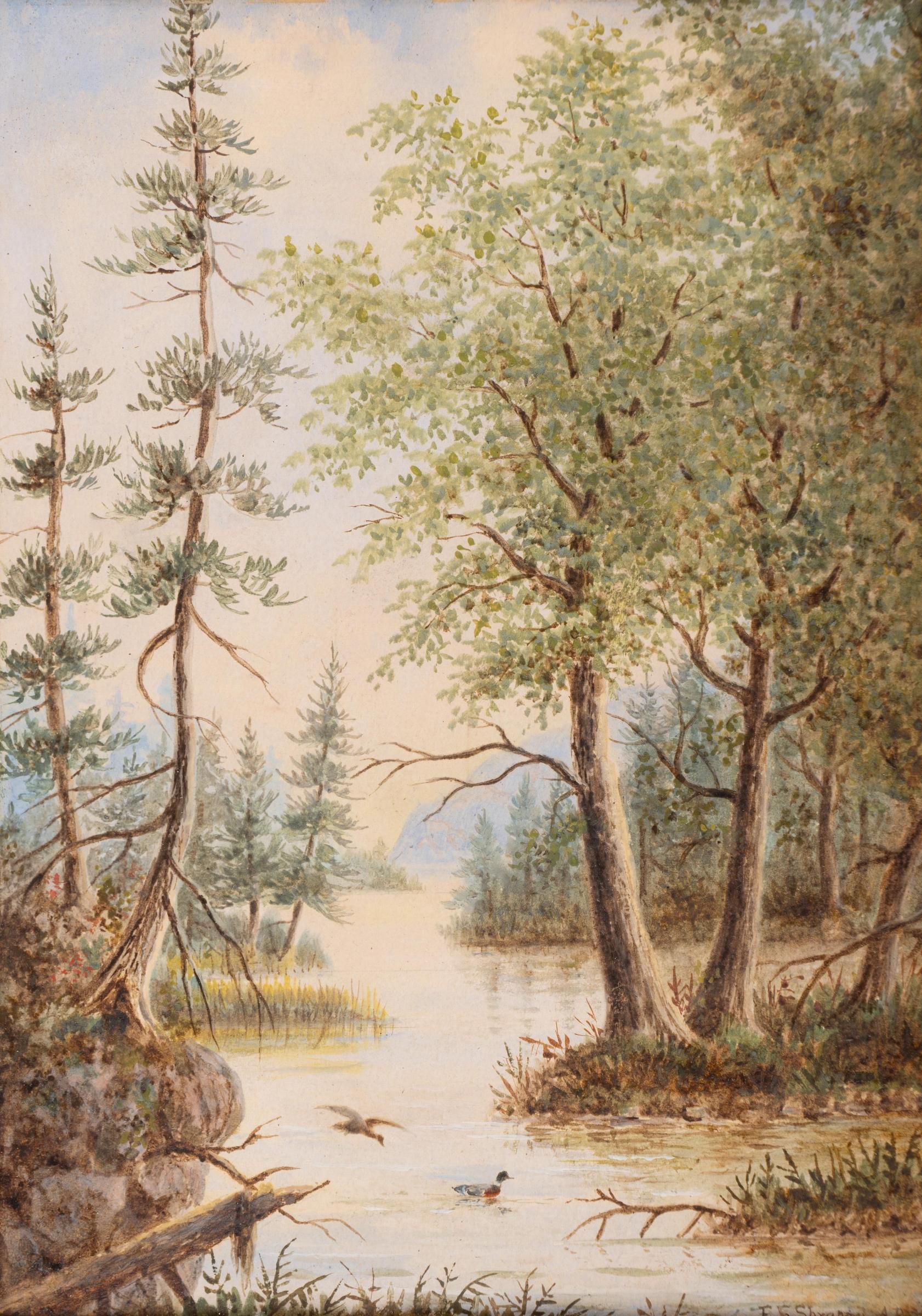 Edward Scrope Shrapnel (1847-1920) - Untitled