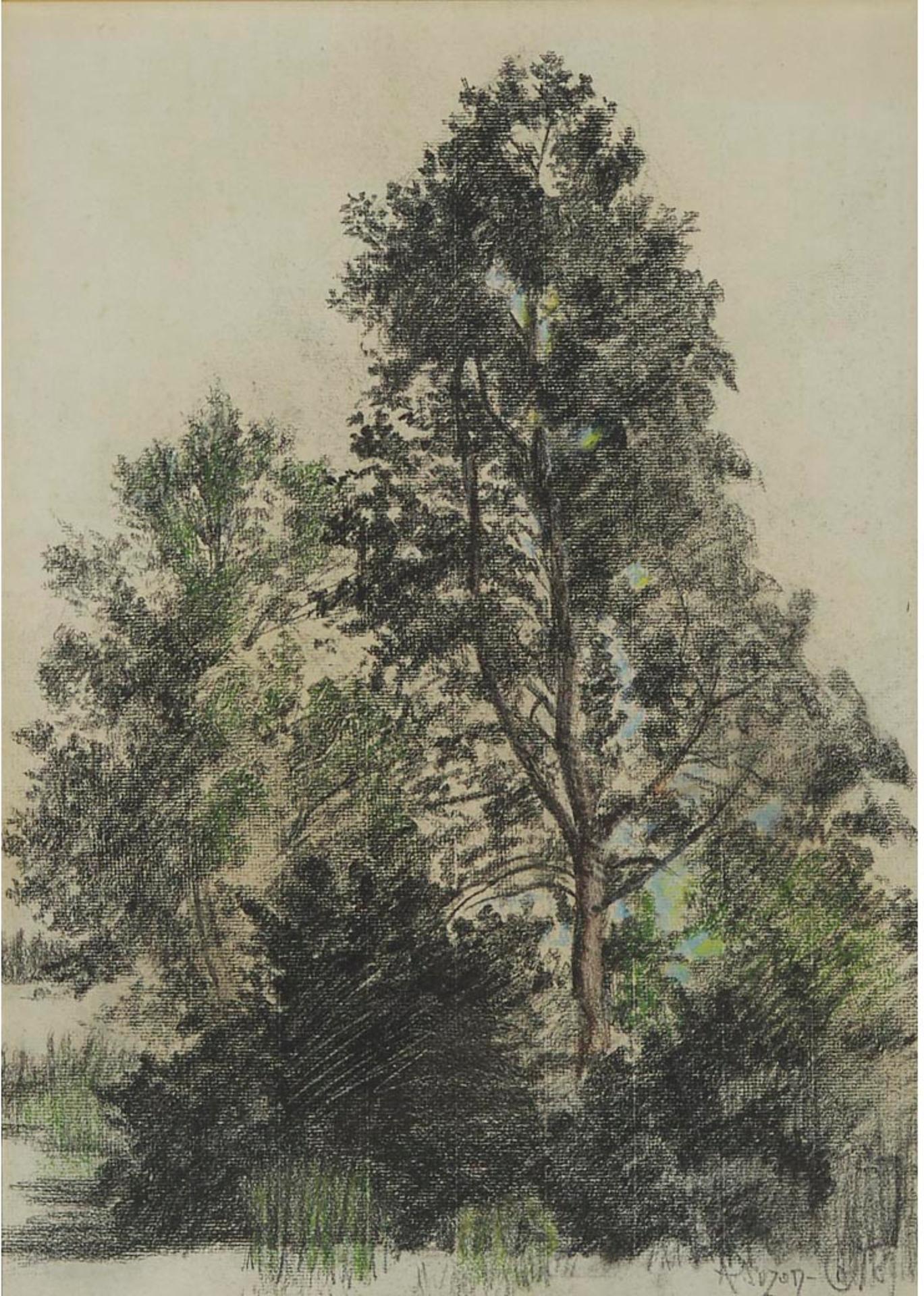 Marc-Aurèle de Foy Suzor-Coté (1869-1937) - Trees